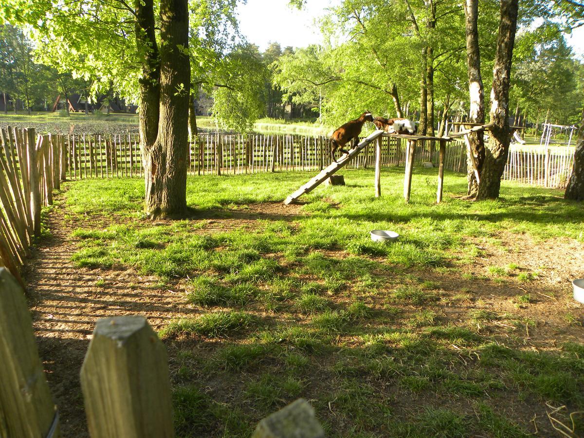 Bospark Te Holiday home Stramproy